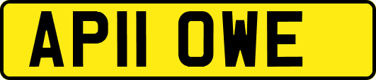 AP11OWE