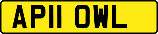 AP11OWL