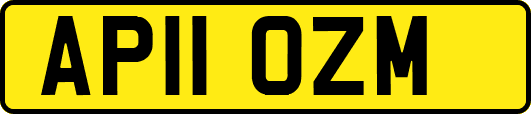 AP11OZM