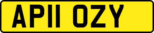 AP11OZY