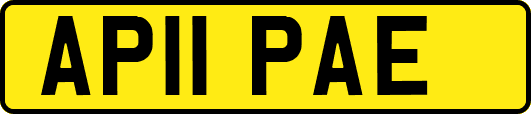 AP11PAE