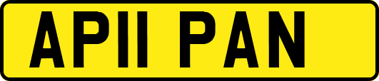 AP11PAN