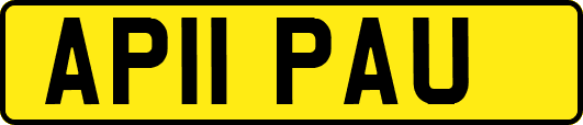 AP11PAU