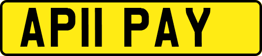 AP11PAY