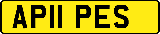 AP11PES