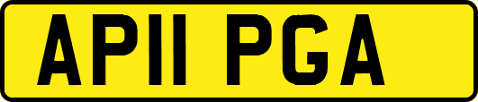 AP11PGA