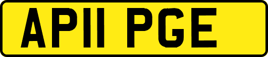 AP11PGE
