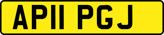 AP11PGJ