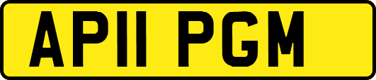 AP11PGM