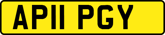 AP11PGY