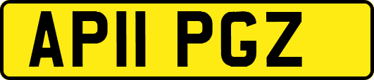 AP11PGZ