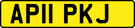 AP11PKJ