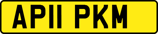AP11PKM