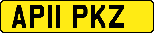 AP11PKZ
