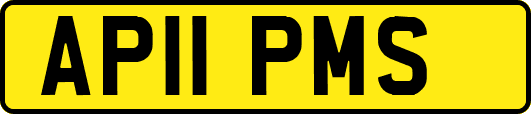 AP11PMS