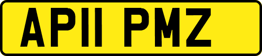 AP11PMZ