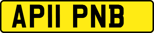 AP11PNB