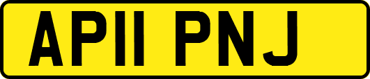 AP11PNJ