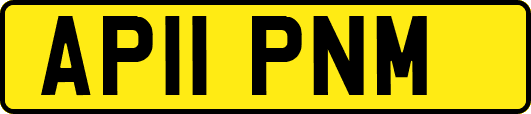AP11PNM