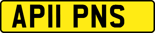 AP11PNS