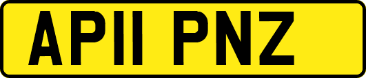 AP11PNZ