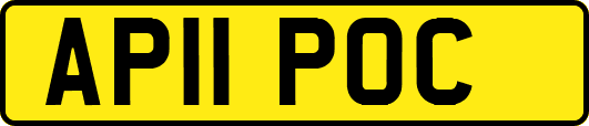 AP11POC