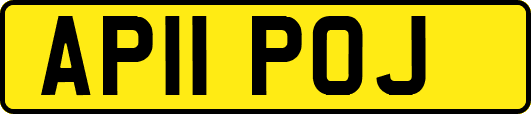 AP11POJ