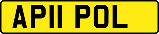 AP11POL