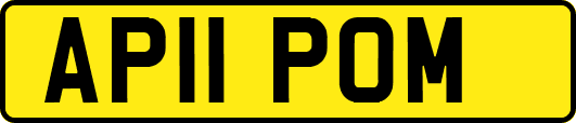 AP11POM