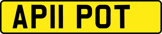 AP11POT