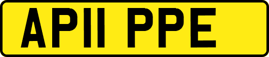 AP11PPE