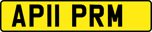 AP11PRM