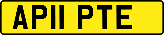 AP11PTE
