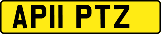 AP11PTZ