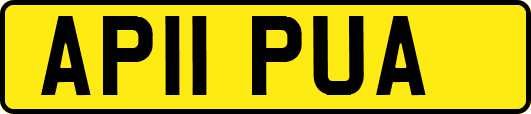 AP11PUA