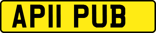 AP11PUB