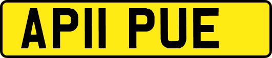 AP11PUE
