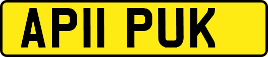 AP11PUK