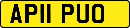 AP11PUO