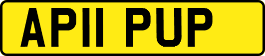 AP11PUP