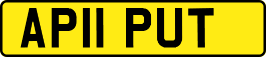 AP11PUT