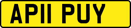 AP11PUY