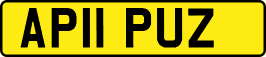 AP11PUZ