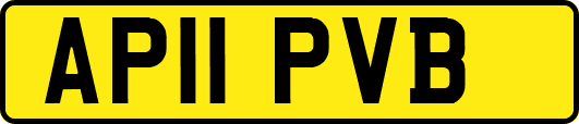 AP11PVB