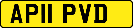 AP11PVD