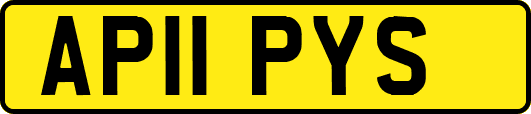 AP11PYS