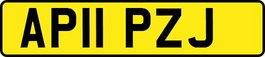 AP11PZJ