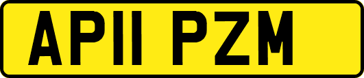 AP11PZM