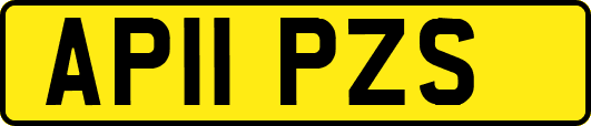 AP11PZS
