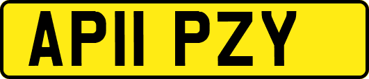 AP11PZY